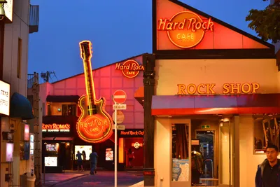 DSC_4003 (Large).JPG